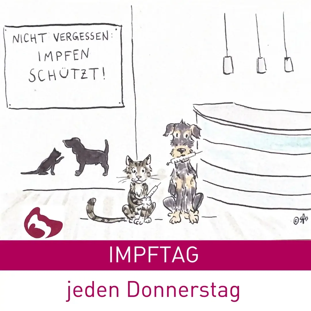 Ihre Tierärzte Impftag