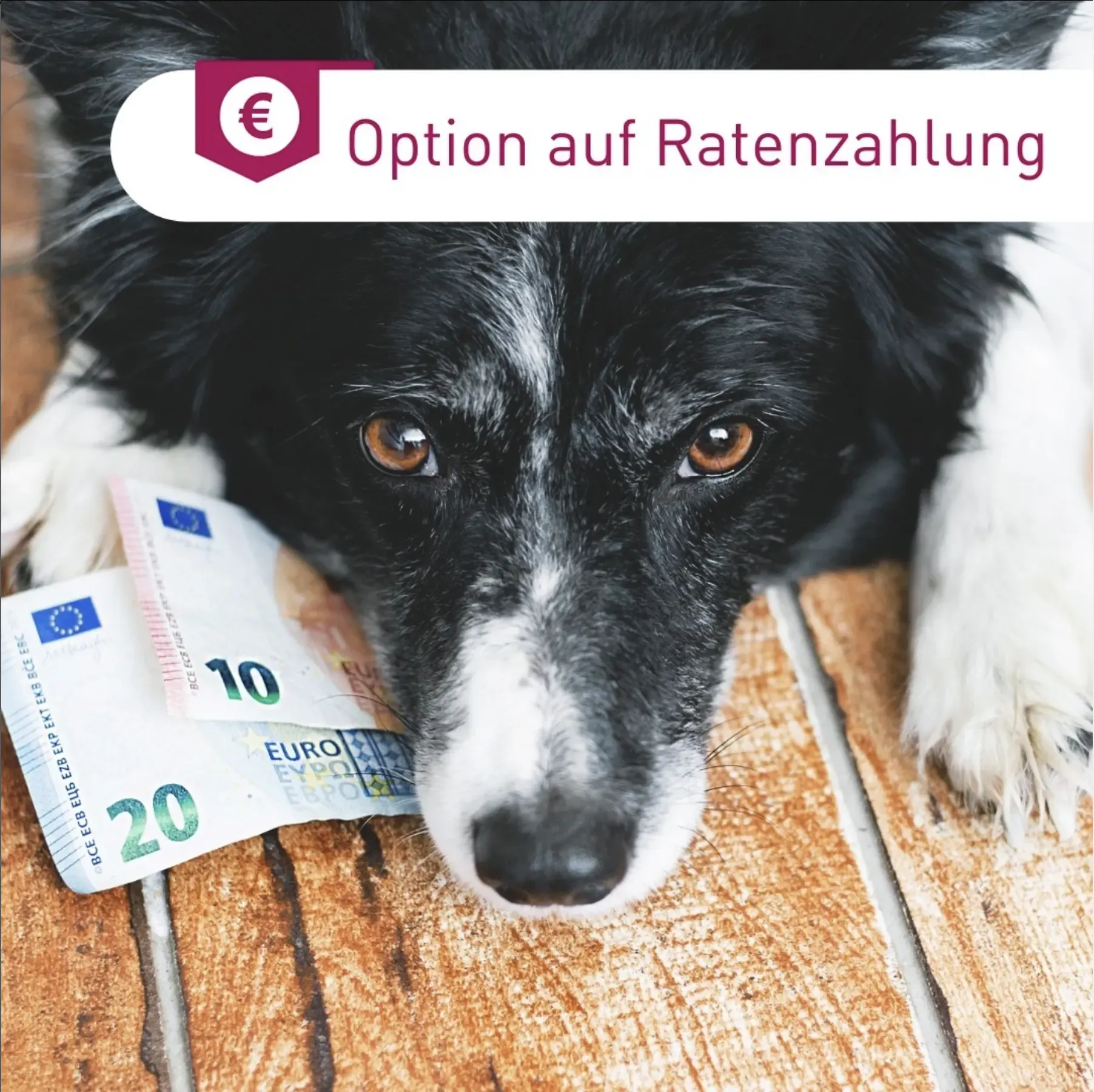 Option auf Ratenzahlung