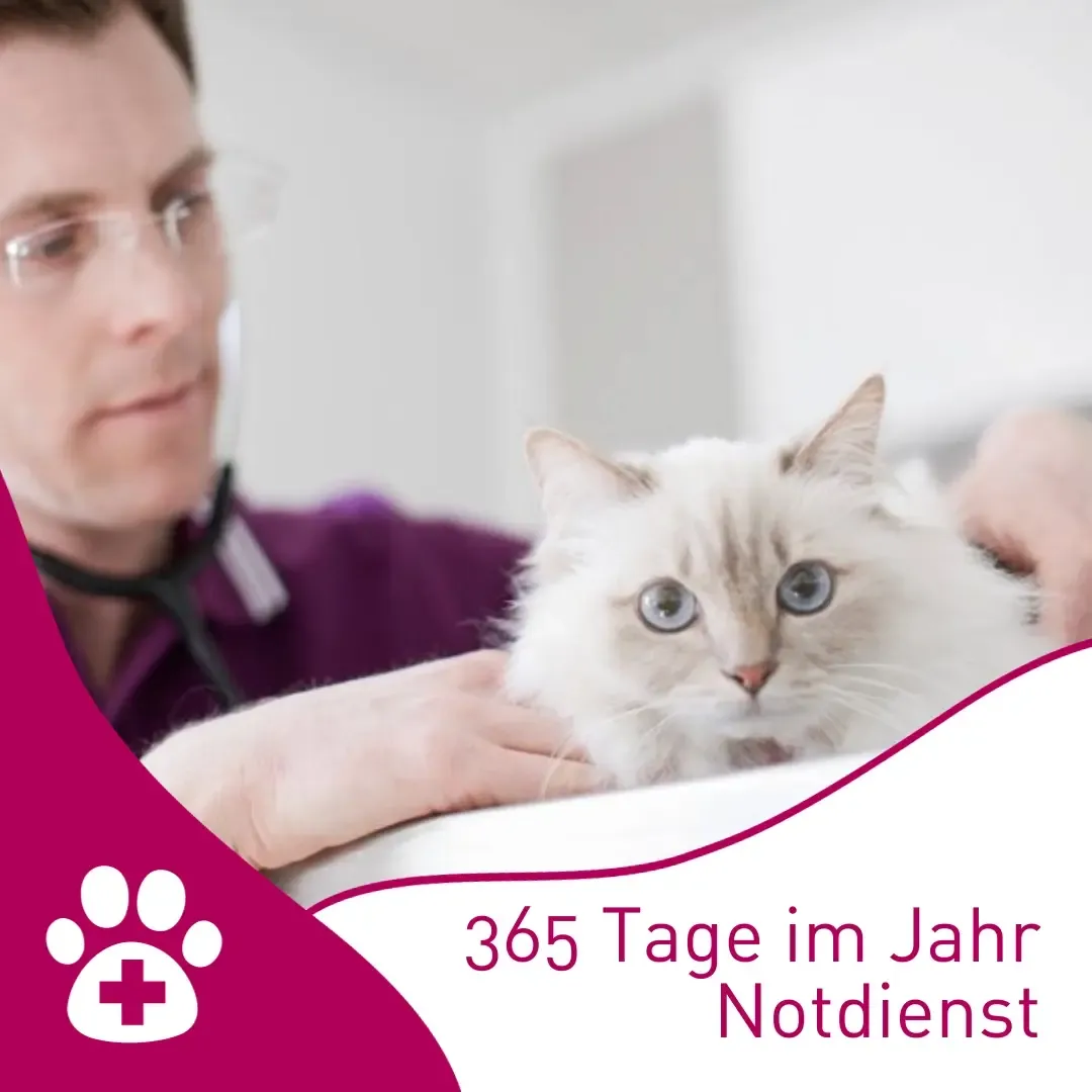 365 Tage Notdienst